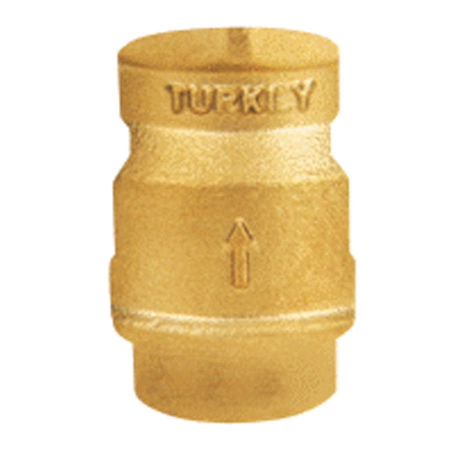 VERTICAL CHECK VALVE (STRINGED)